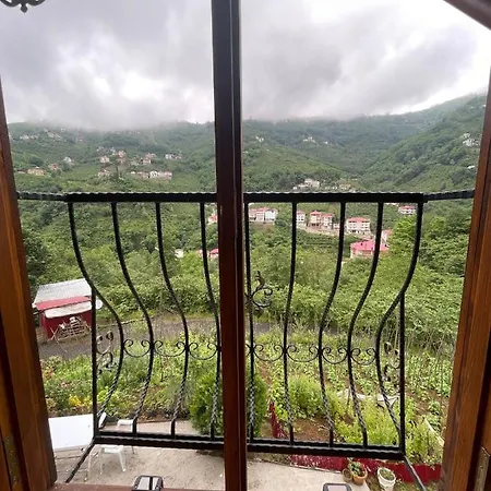 Hotel Dereici