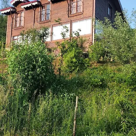Dereici