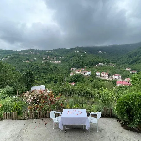 Dereici Hotel 4*